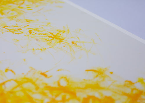 "SUNSTREAMS"  Fine Art Print