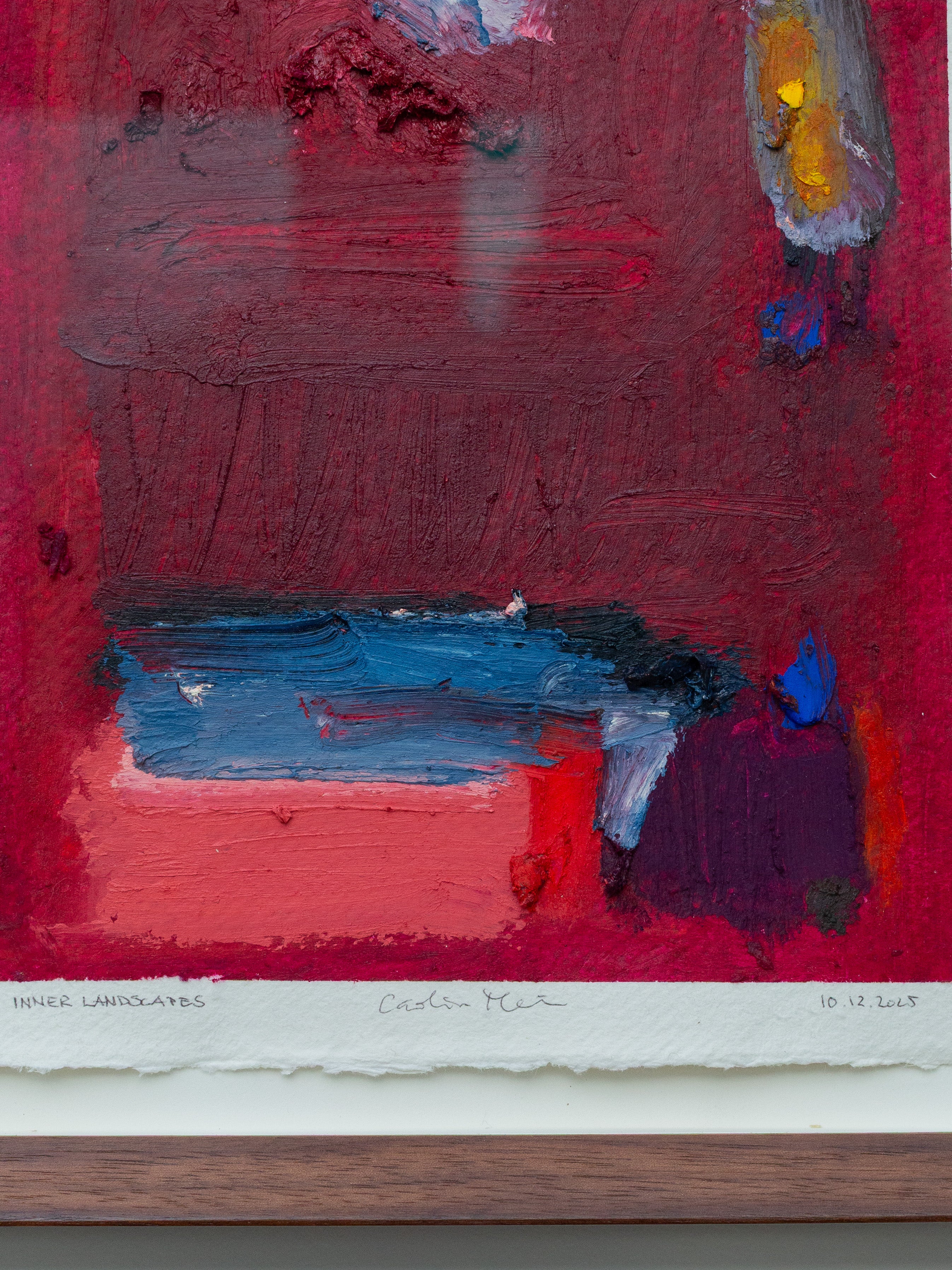 INNER LANDSCAPES - 10 December 2025