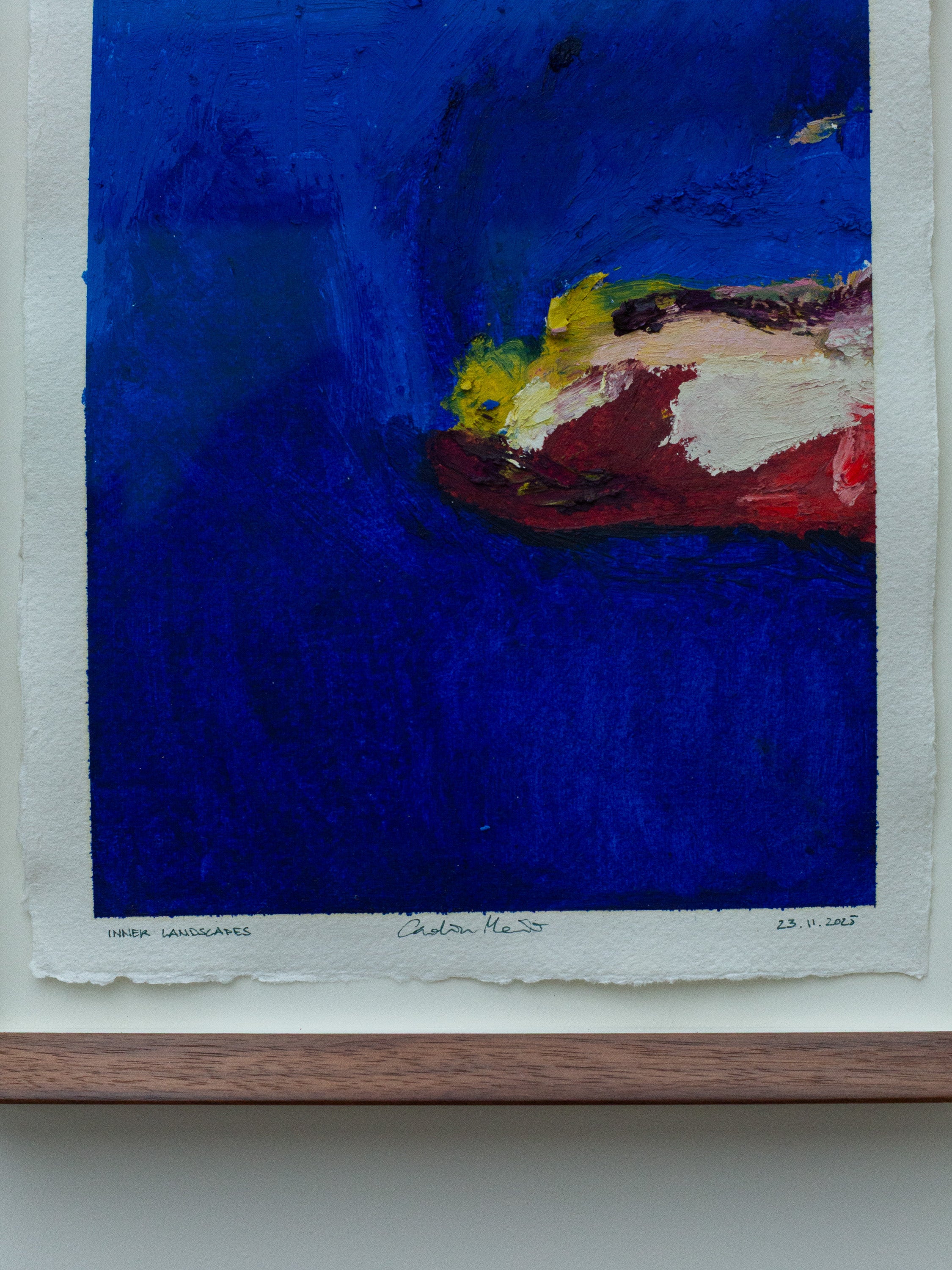 INNER LANDSCAPES - 23 November 2025