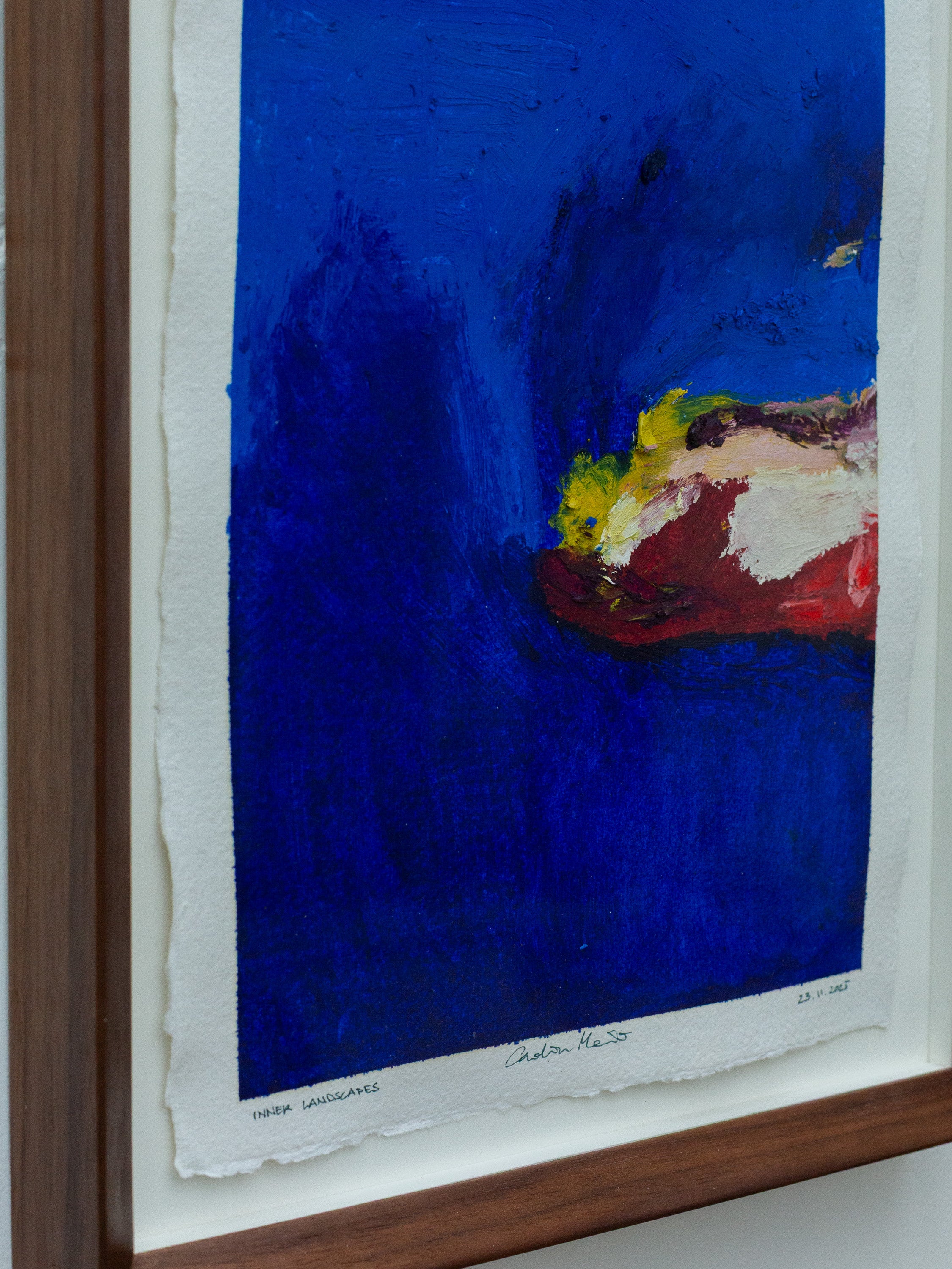 INNER LANDSCAPES - 23 November 2025