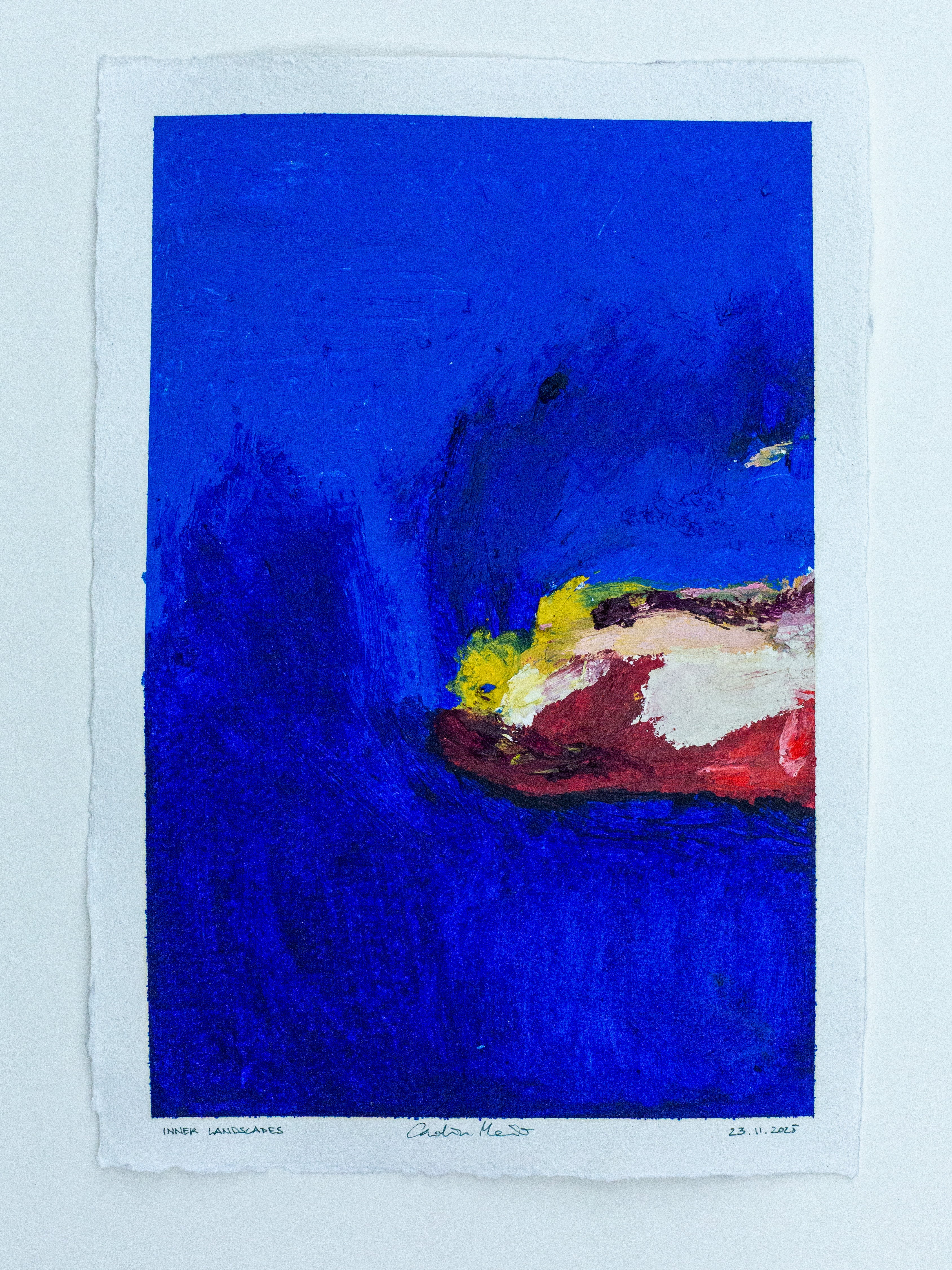 INNER LANDSCAPES - 23 November 2025