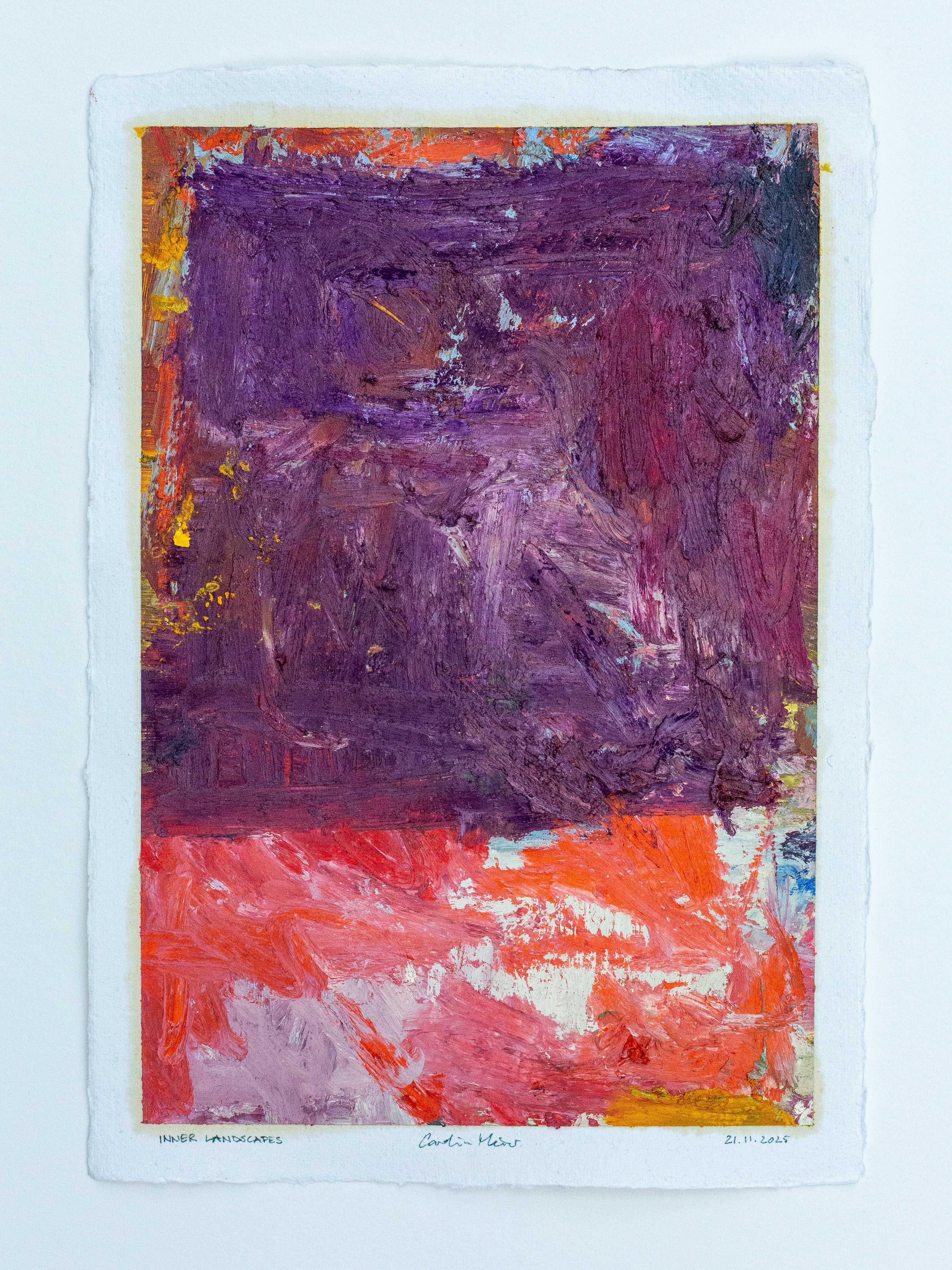 INNER LANDSCAPES - 21 November 2025