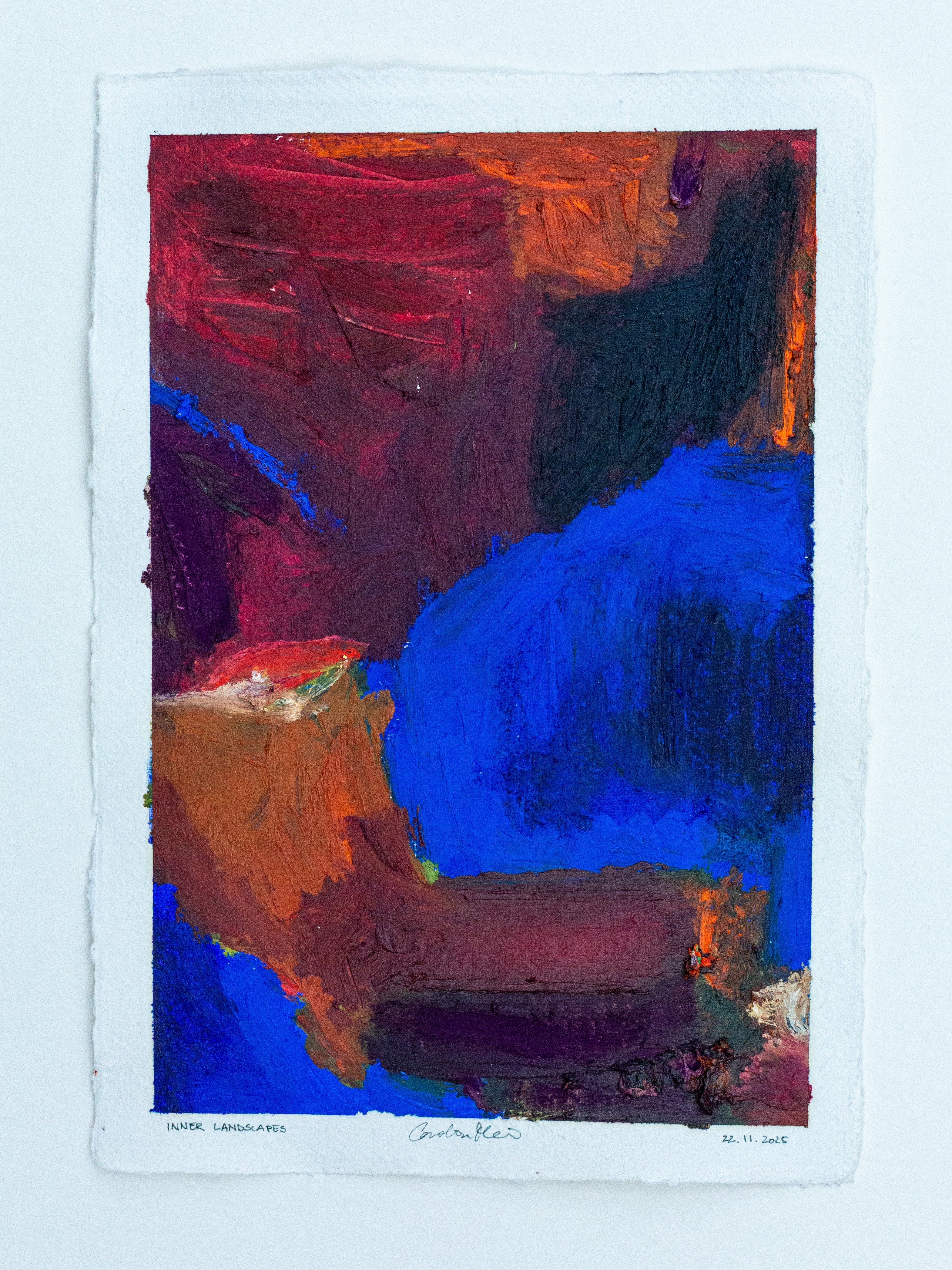 INNER LANDSCAPES - 22 November 2025